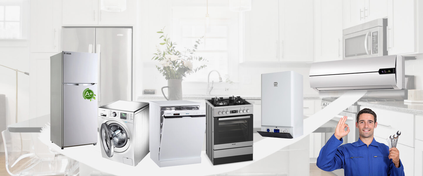 Özbek Electrolux Servisi